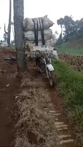 Perjuangan Para Petani Sayur Di Lapangan, Setelah Melihat Video Ini, Masih Mau Menawar Harga?