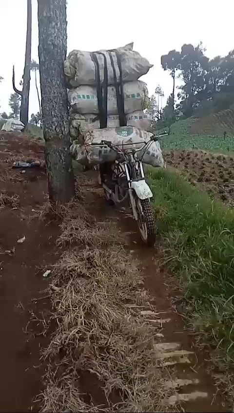 Perjuangan Para Petani Sayur Di Lapangan, Setelah Melihat Video Ini, Masih Mau Menawar Harga?