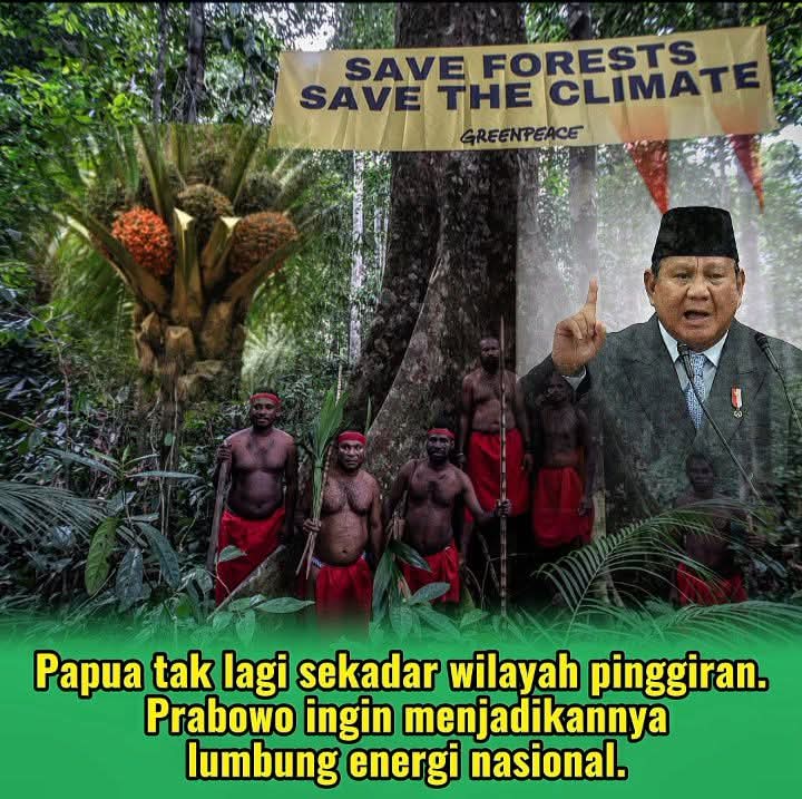 Papua Tak Lagi Sekadar Wilayah Pinggiran, Prabowo Ingin Menjadikannya Lumbung Energi Nasional