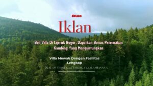 Beli Villa di Cijeruk Bogor, Dapatkan Bonus Bisnis Peternakan Kambing yang Menguntungkan!